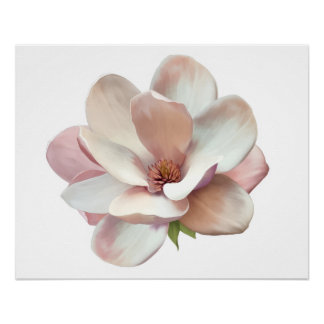 Pink Southern magnolia poster