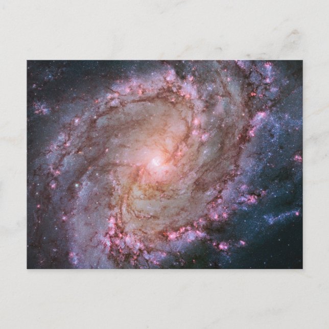 Pink Space Photo Spiral Galaxy M83 Postcard (Front)