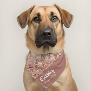 pink Sparkle Therapy Dog  Pet Bandana Collar