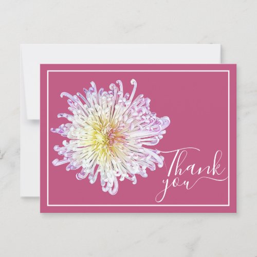 Pink Spider Mum With Pink Background Thank You Postcard