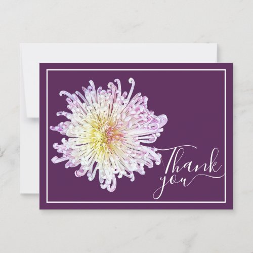 Pink Spider Mum With Purple Background Thank You Postcard