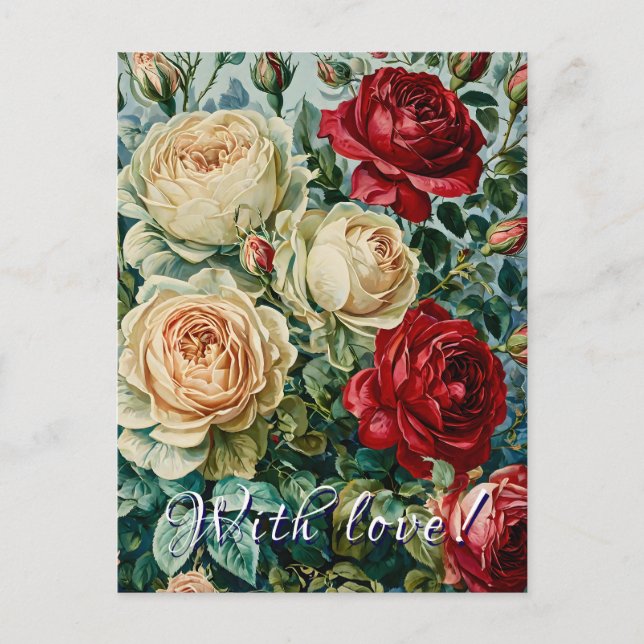 Pink splendor. Floral bouquet of roses. Postcard (Front)