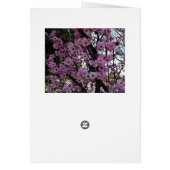 Pink Spring Blossom Tree, (Back)