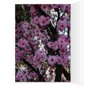 Pink Spring Blossom Tree, (Inside (Left))