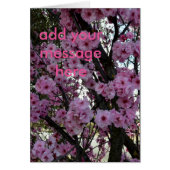 Pink Spring Blossom Tree, (Front)