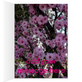 Pink Spring Blossom Tree, (Inside (Right))