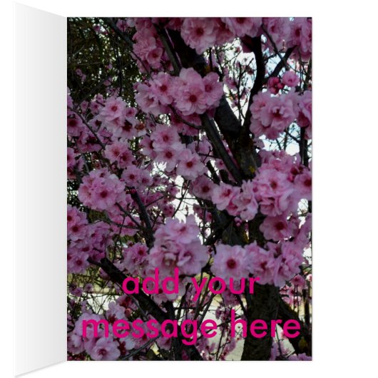 Pink Spring Blossom Tree, (Inside (Right))