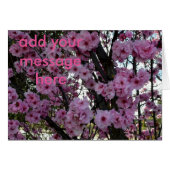 Pink Spring Blossom Tree, (Front Horizontal)