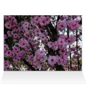 Pink Spring Blossom Tree, (Inside Horizontal (Top))