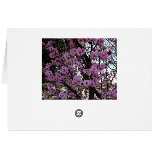 Pink Spring Blossom Tree, (Back Horizontal)