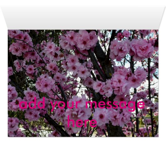 Pink Spring Blossom Tree, (Inside Horizontal (Bottom))