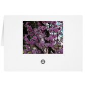 Pink Spring Blossom Tree, (Back Horizontal)