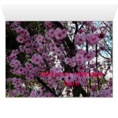 Pink Spring Blossom Tree, (Inside Horizontal (Bottom))