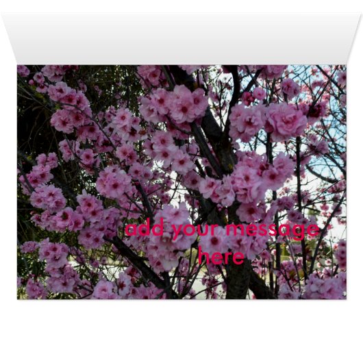 Pink Spring Blossom Tree, (Inside Horizontal (Bottom))