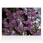 Pink Spring Blossom Tree, (Inside Horizontal (Top))