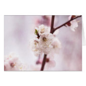 Pink spring blossoms (Front Horizontal)