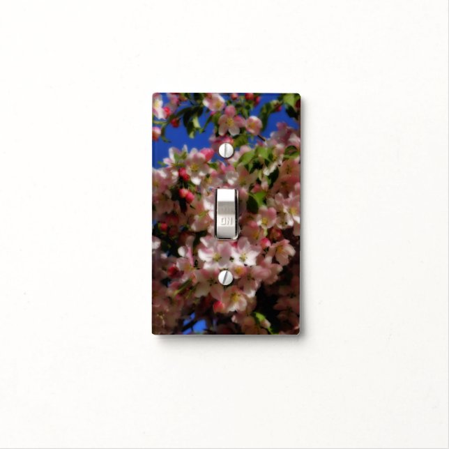 Pink Spring Blossoms Blue Sky Art Light Switch Cover (In Situ)
