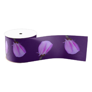 Pink Spring Blossoms Close-Up on Purple Color Grosgrain Ribbon
