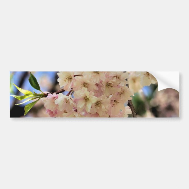 Pink Spring Blossoms Flower Bumper Sticker (Front)