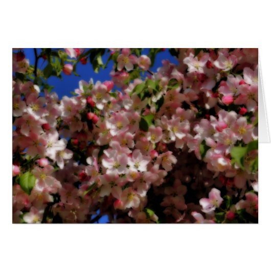 Pink Spring Blossoms Flower Photography Card (Front Horizontal)