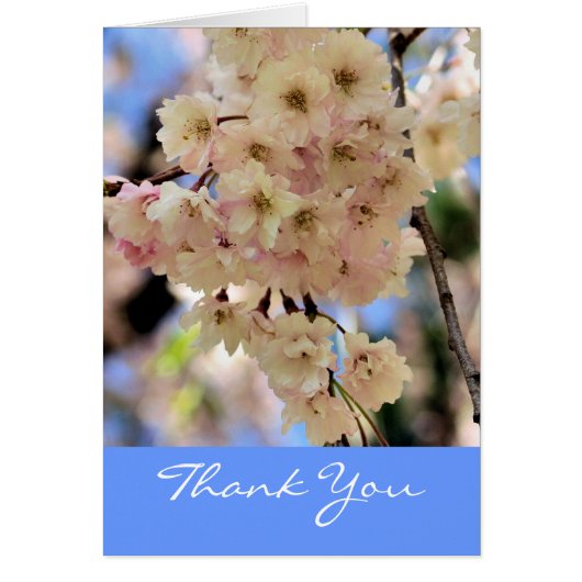 Pink Spring Blossoms Flower Thank You (Front)