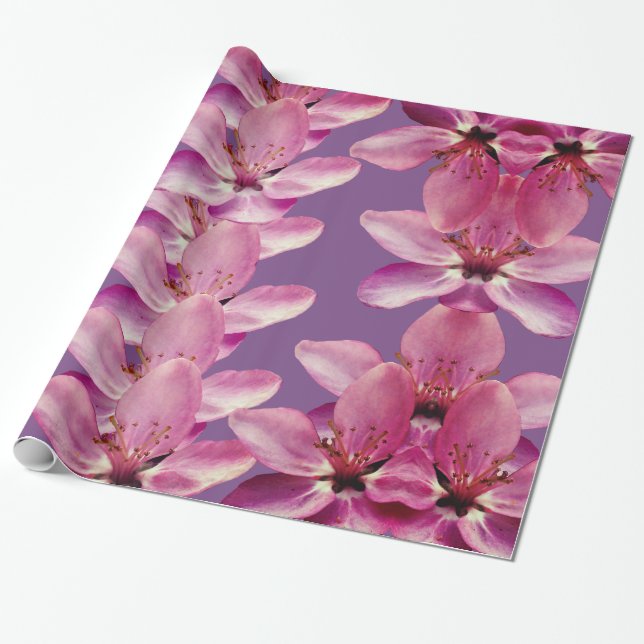 Pink spring  Blossoms Gift  Paper (Unrolled)