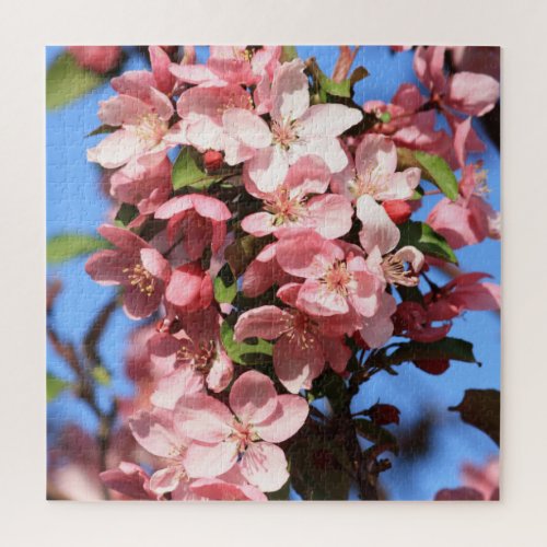 Pink Spring Blossoms with Blue Sky Jigsaw Puzzle