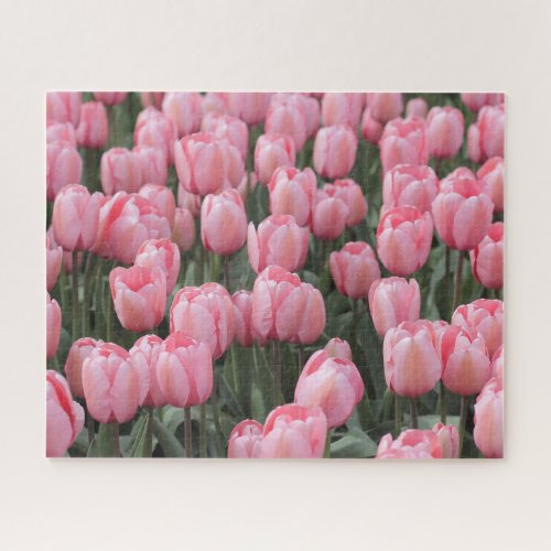 Pink Spring Tulip Flowers  Jigsaw Puzzle