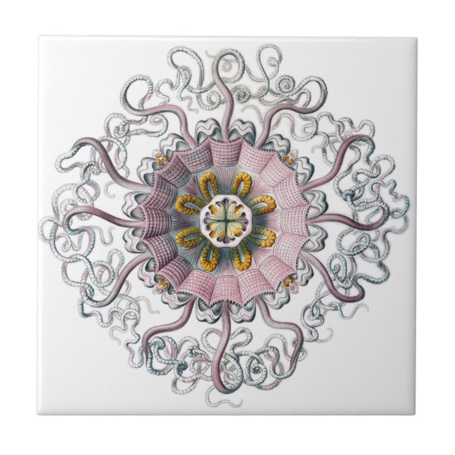 Pink starfish ceramic tile (Front)