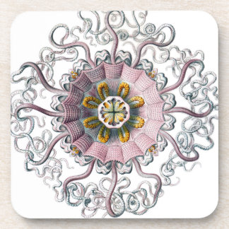 Pink starfish drink coaster