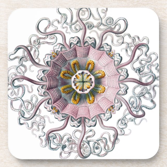 Pink starfish drink coaster (Front)
