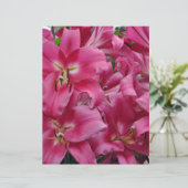 Pink stargazer lilies (Standing Front)