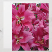 Pink stargazer lilies (Front/Back)