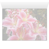 Pink Stargazer Lilies (Inside Horizontal (Bottom))