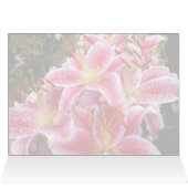 Pink Stargazer Lilies (Inside Horizontal (Top))
