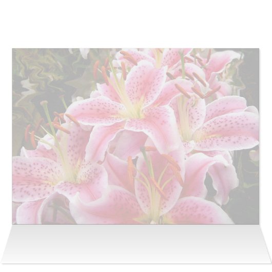 Pink Stargazer Lilies (Inside Horizontal (Top))