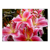 Pink Stargazer Lilies (Front Horizontal)