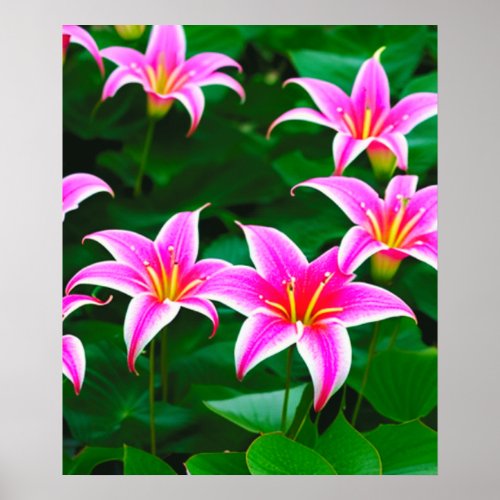 Pink Stargazer Lilies AI Art Poster
