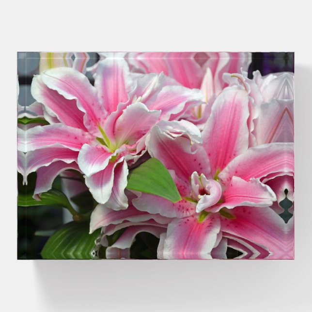 Pink stargazer lilies paperweight (Front)