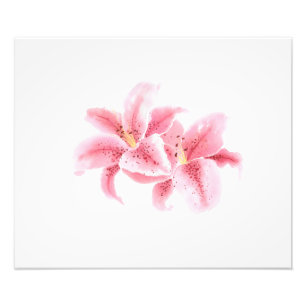 Pink Stargazer Lilies Watercolor Photo Print