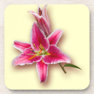 Pink Stargazer Lily and Bud Beverage Coaster