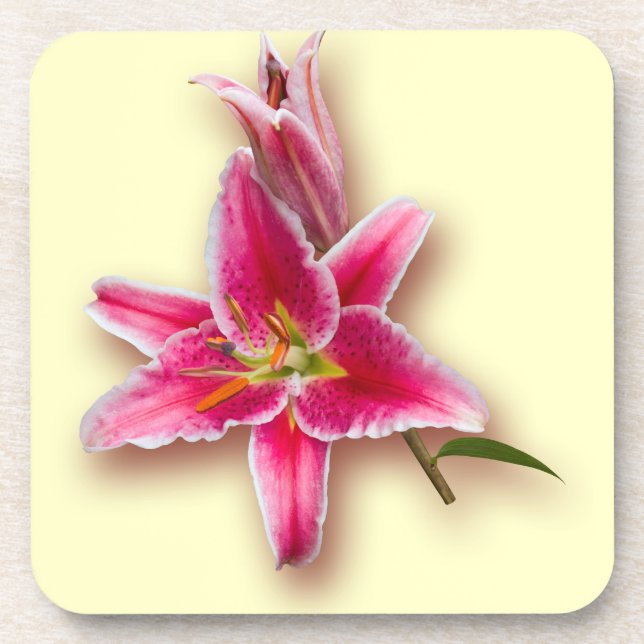 Pink Stargazer Lily and Bud Beverage Coaster (Front)