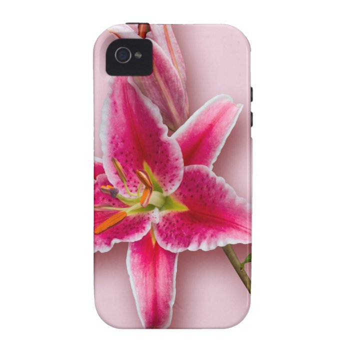 Pink Stargazer Lily and Bud iPhone 4 Case
