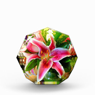 pink stargazer lily award