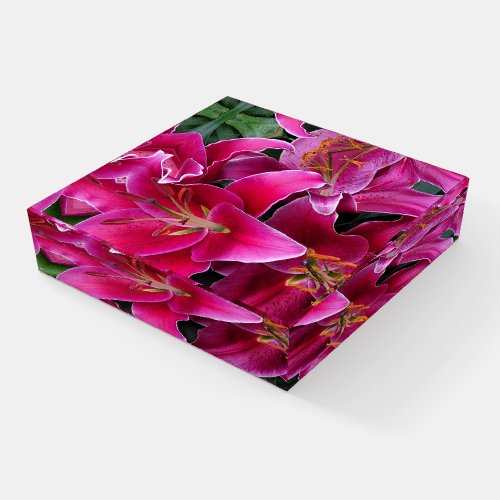 Pink stargazer lily flowers      paperweight