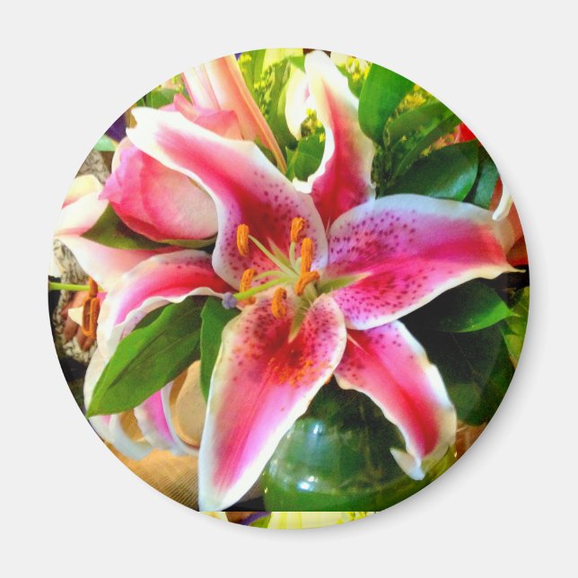 pink stargazer lily magnet (Front)
