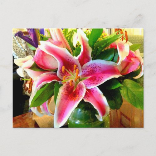 pink stargazer lily postcard