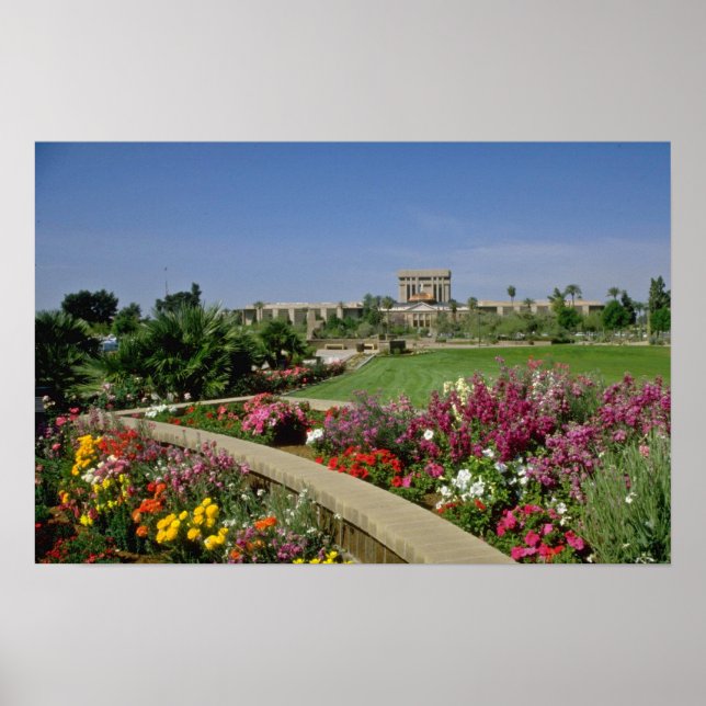 Pink State capitol, flower gardens, Phoenix, Arizo Poster (Front)