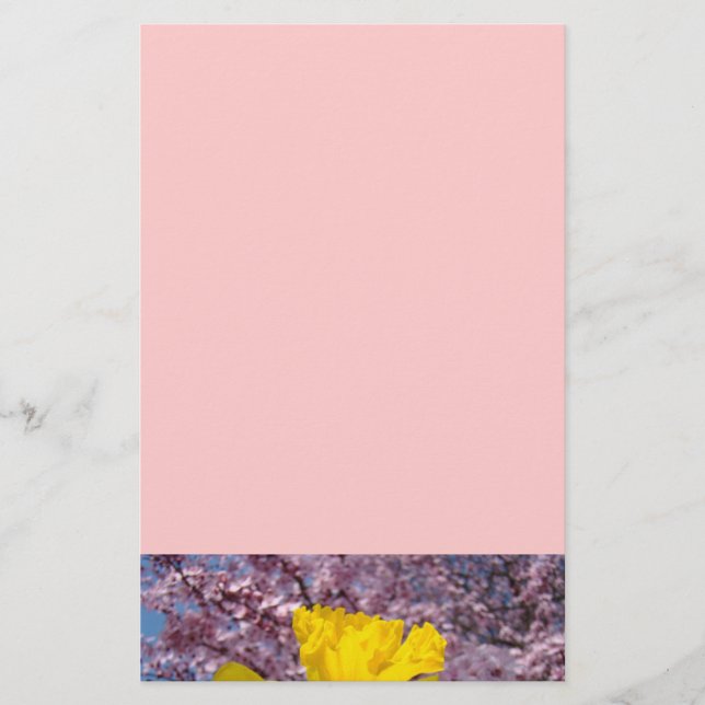 Pink Stationery Tree Blossoms Spring Daffodils (Front)