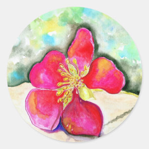 Pink Strawberry Flower Watercolor Classic Round Sticker